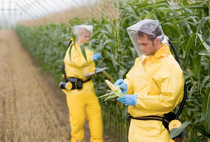Monsanto: Donirali smo 'konvencionalno sjeme', u BiH ne znaju za donaciju