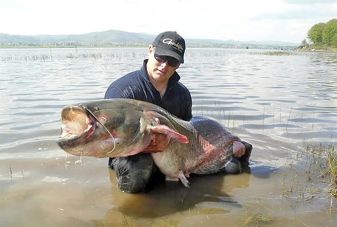 Ulovio soma teškog 80 kilograma