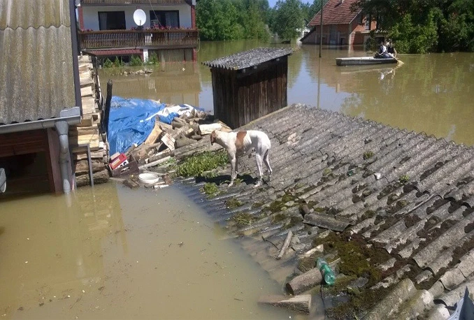 Stručni tim iz Mostara pomaže u Odžaku