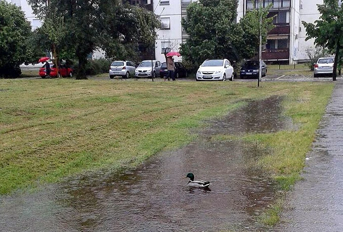 Kiša u Beogradu oborila rekord