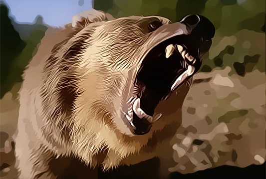 Titova medvjedica izaziva strah Duvnjaka