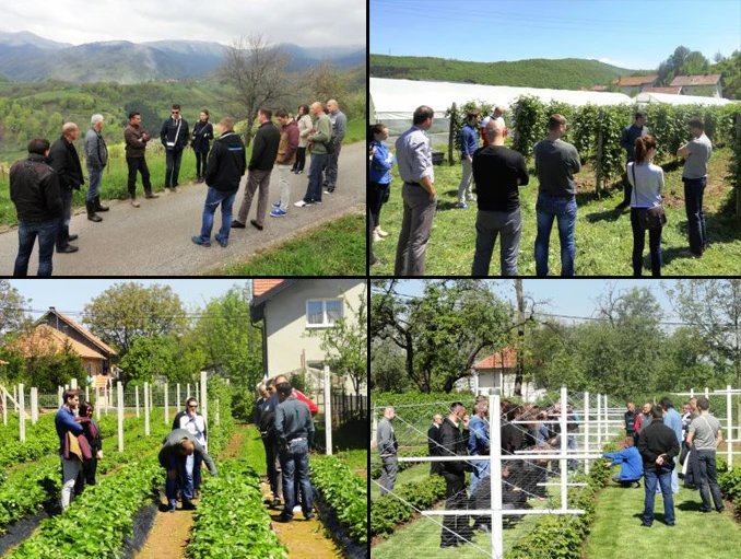 Počele aktivnosti pod projektom 'Lanac vrijednosti jagodičastog voća'
