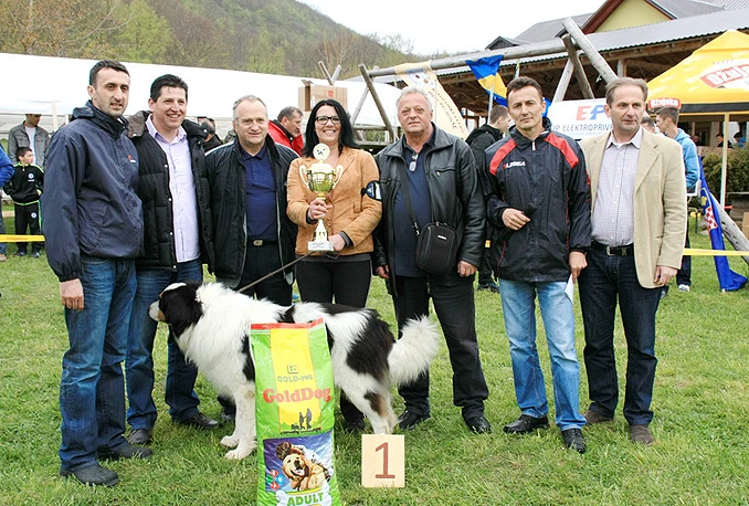 Najljepši tornjak Atila Rundo iz Križevaca