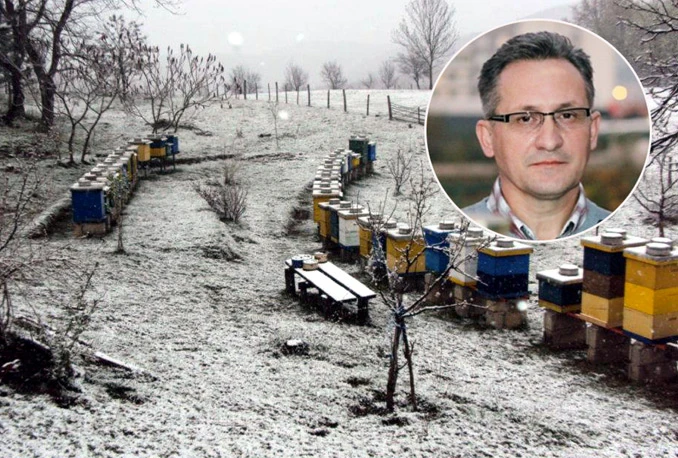 Alijagić: Pčelari ne trebaju brinuti zbog naglog zahlađenja