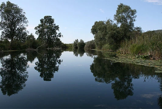 Hutovo Blato, Neretva i Trebižat u fokusu Fondacije za ugrožene ekosustave