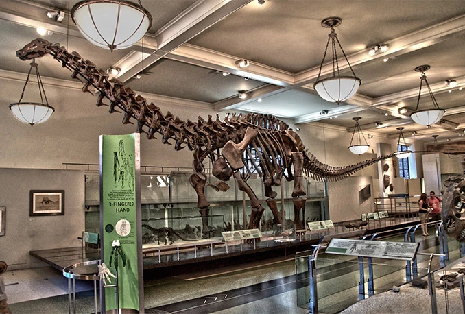 Engleski znanstvenici klonirali dinosaura!
