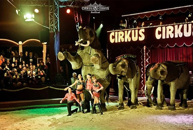 Cirkus bi bio imati dva puta izbore