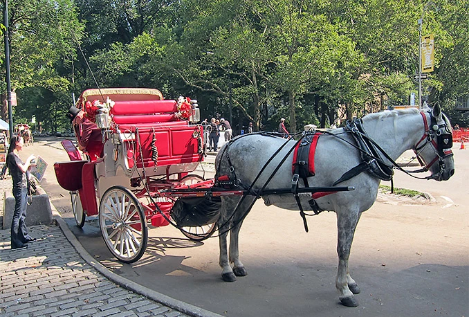 New York: Umjesto kočija električni 'old-timeri'?