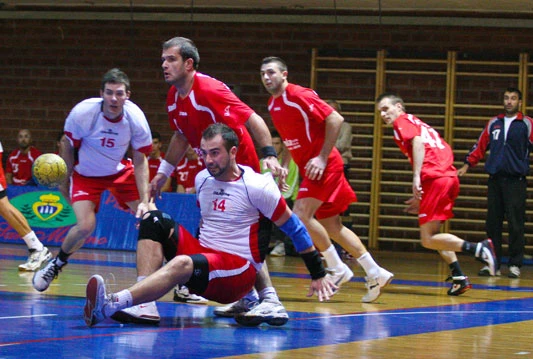 Čapljina pregažena u Zenici