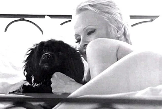 Gola Pamela Anderson snimila provokativan video