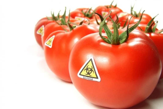 Tužio susjeda zbog zagađenja polja GMO sjemenom