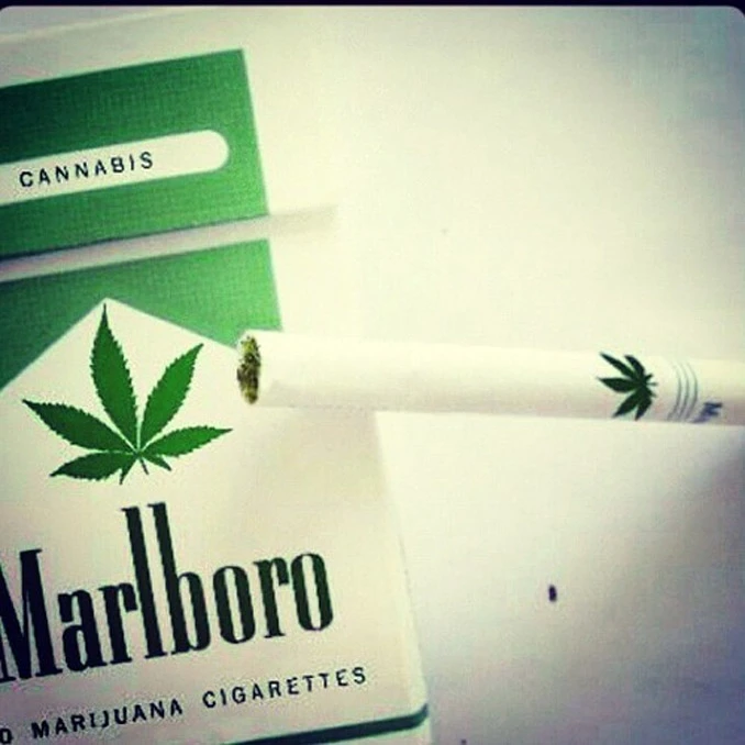Od 2015. na tržištu SAD-a će se naći i cigarete od marihuane