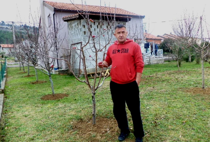 U naselju Modrič u čapljinskoj općini rodili plodovi na stablu jabuke!