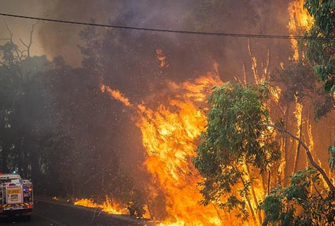 Rekordne temperature: U požarima jedna osoba poginula, uništeno 49 kuća