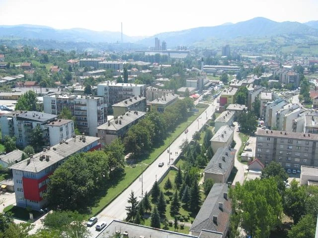 Njemački investitori prave tvornicu peleta u Kaknju