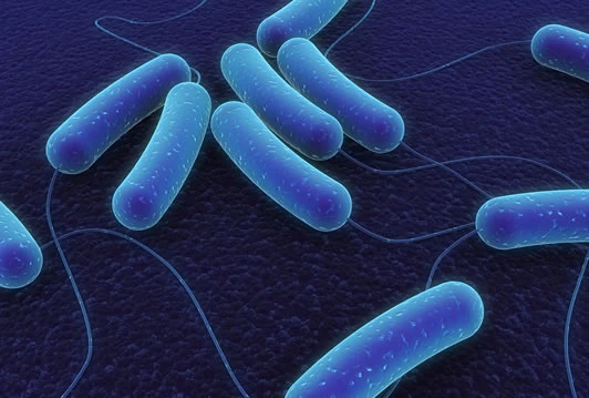 Opasna superbakterija ubija i u Srbiji, otporna je na antibiotike