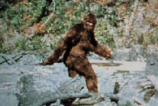 Bigfoot pronađen još 2009. godine?