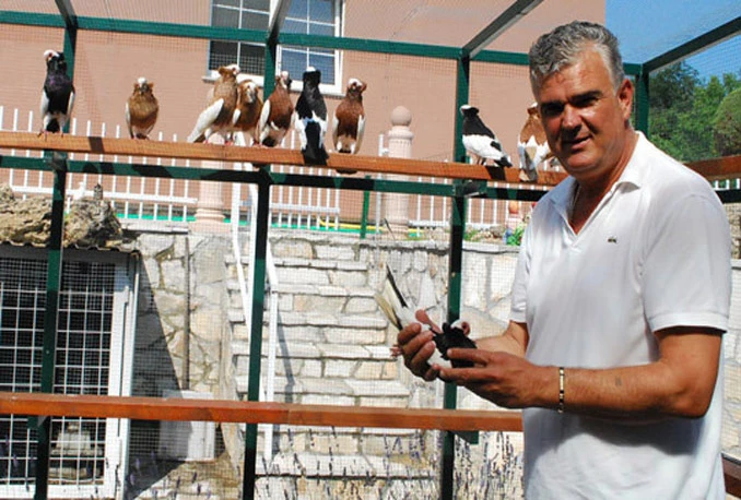 Ilija Sušac, jedan od uspješnijih bh. golubara, uzgaja golubove od svoje sedme godine