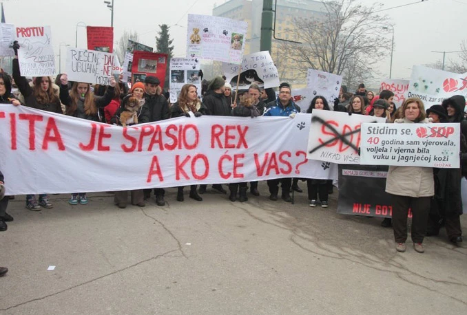 Protiv ubijanja pasa: U kamenu ništa ljudsko, u ljudima sve kameno
