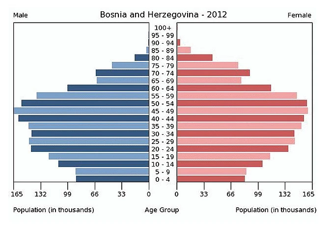 CIA The World Factbook: Kako izgleda dobna struktura BiH?