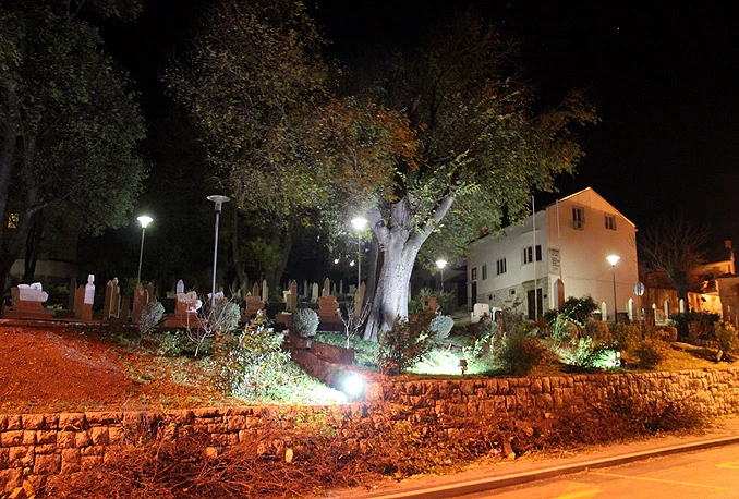 Mostar: Olujni vjetar oborio još jedno stablo