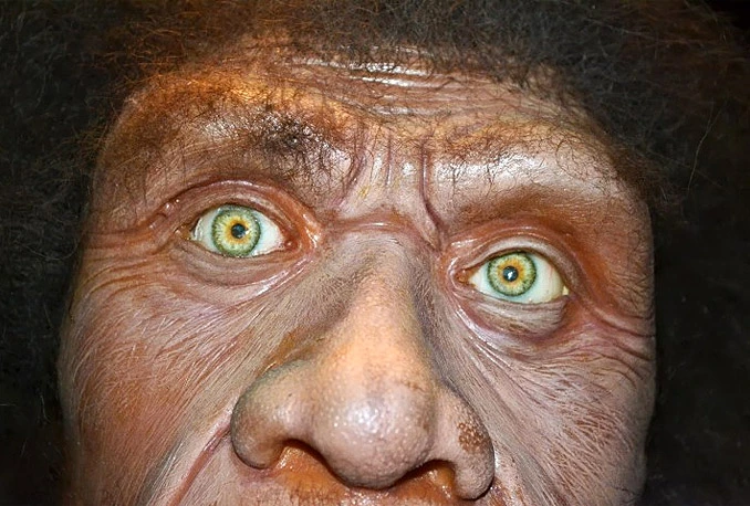 Priča o ljudskoj evoluciji upravo je postala još bizarnija