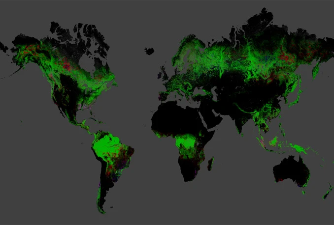 Na Google Earthu predstavljena detaljna mapa svjetskih šuma