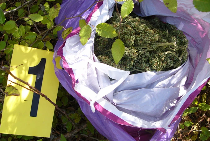 Ljubuški: Dvije osobe privedene, pronađena marihuana, speed, oružje