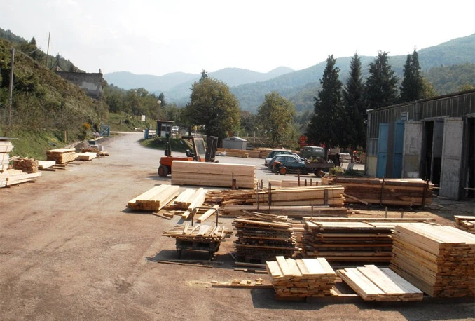 Radnici u sektoru šumarstva, prerade drveta i papira suočeni s mnoštvom problema