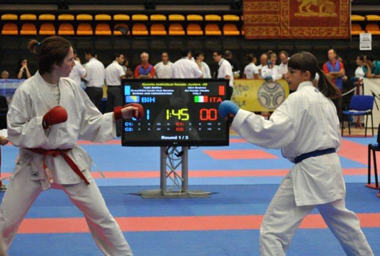 Bh. karatisti osvojili 31 medalju na Balkanskom prvenstvu