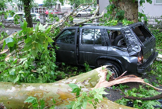 Grom udario u stablo koje je palo na vozilo