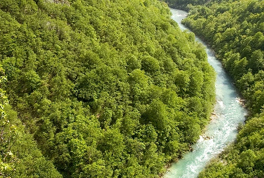 WWF zaključio dva velika projekta u BiH