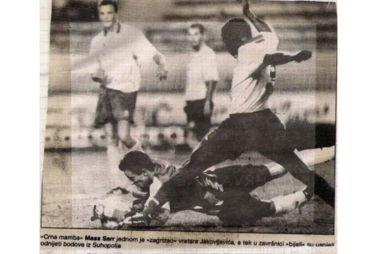Crna mamba Sarr