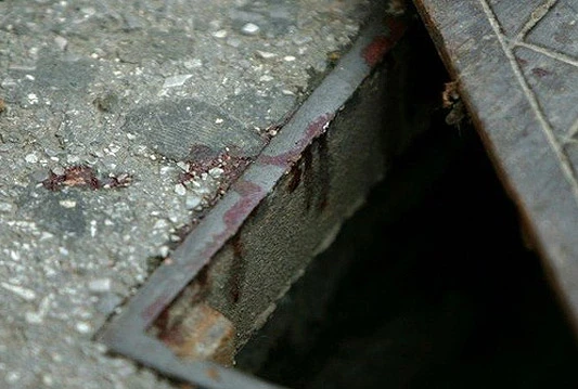 Maloljetnici uhićeni zbog krađe šahtova