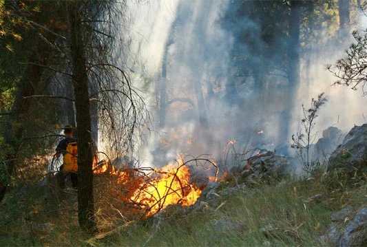 Dječja igra i nepažnja izazvale veliki požar na brdu Gradina iznad Čapljine