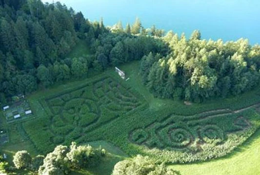 Lukuruzni labirint