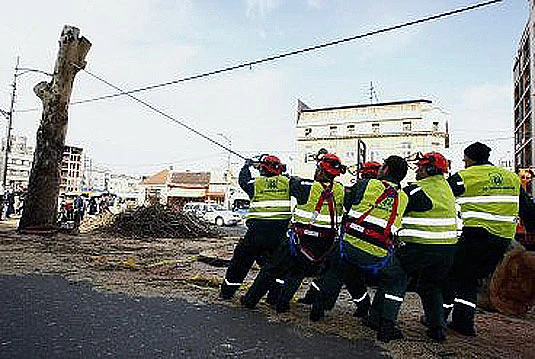 Balkanska ekologija