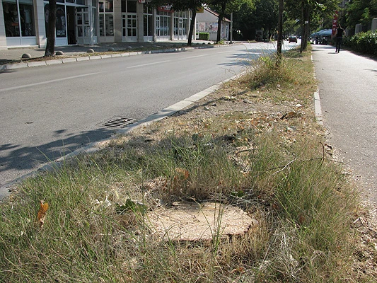 Ogoljeni Mostar