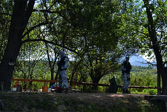Pušteni na slobodu iako se sumnjiče za uzgoj 13 plantaža marihuane