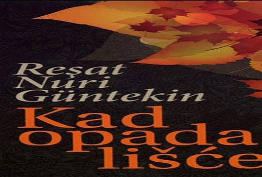 Na bh tržištu izišao roman po kojem je snimljena najgledanija turska TV serija