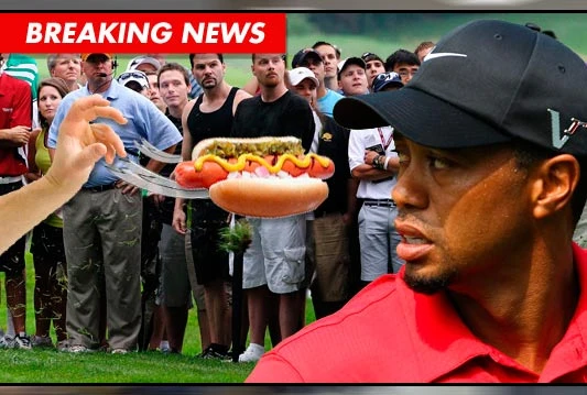 Gledatelj bacio hot dog na Tigera Wodsa