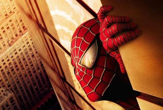 Uhićen Spiderman koji je provalio u župni ured Srca Isusova u Sarajevu