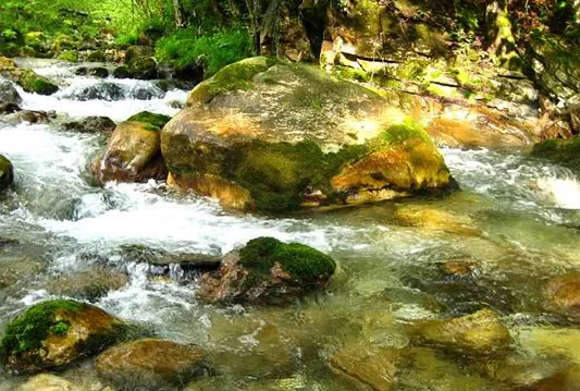 Završen projekt 'Rijeka Rama-ponosna dama'