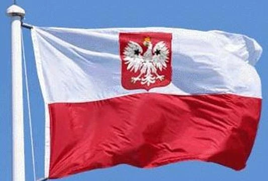 CIPS: Predavanja profesora iz Poljske