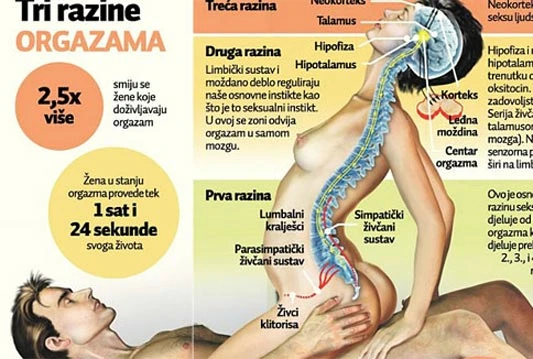 Znanstvenici snimili seksualni vrhunac u ženskom mozgu