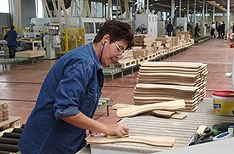 Najviše zaposlenih u prerađivačkoj industriji
