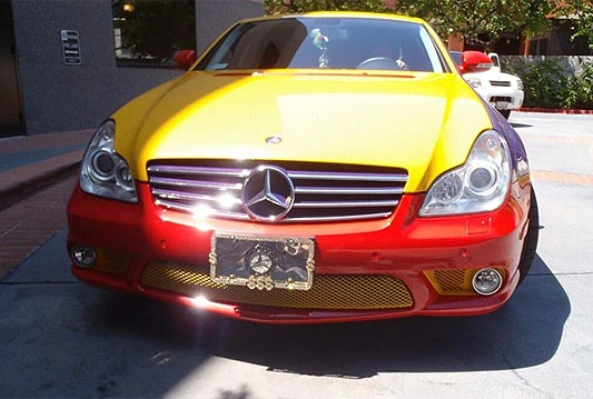 Šareni CLS 550