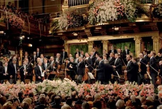 Koncert Bečke filharmonije 2014. godine u Sarajevu