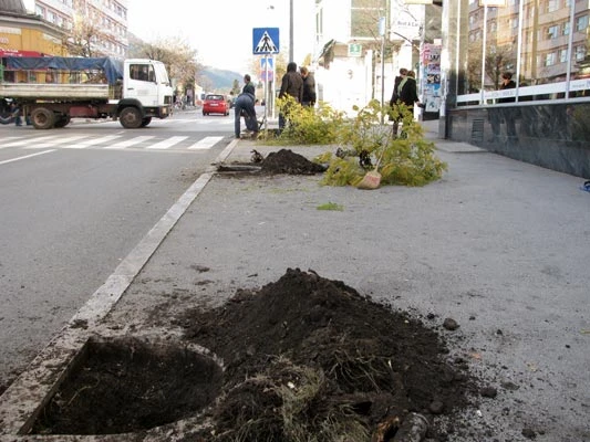 Nova stabla u Ulici Mostarskog bataljona