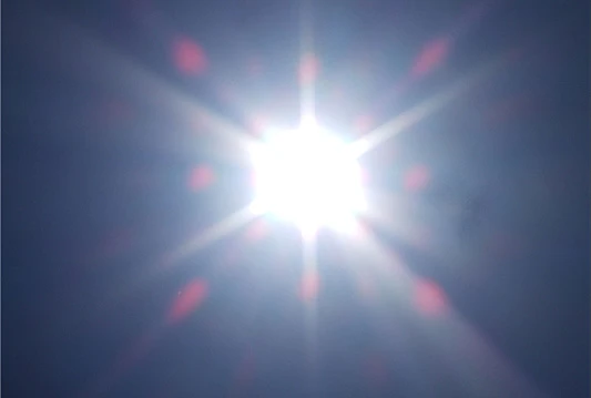 Sunce usporava širenje vodenih kozica